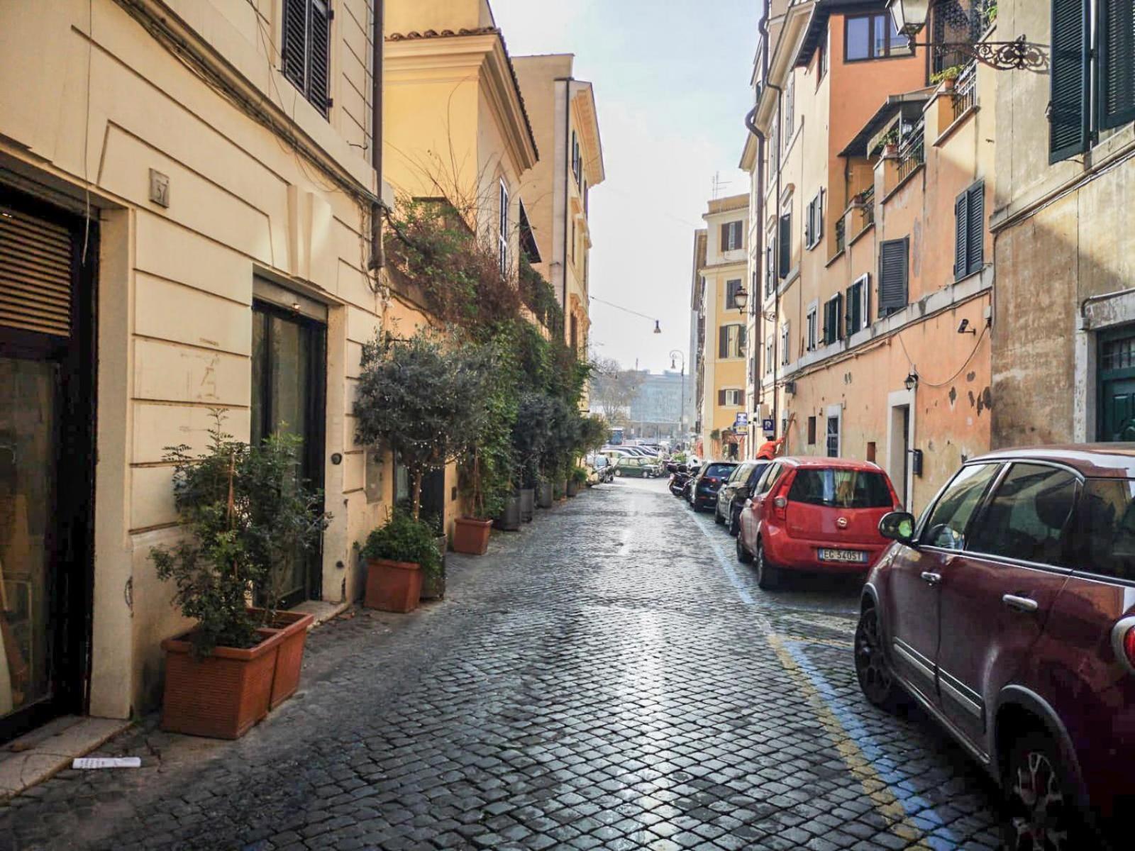 Flatinrome Trastevere Deluxe Rooms - Green Patio Bagian luar foto